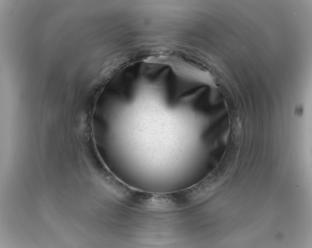 X0000090500270200707280007