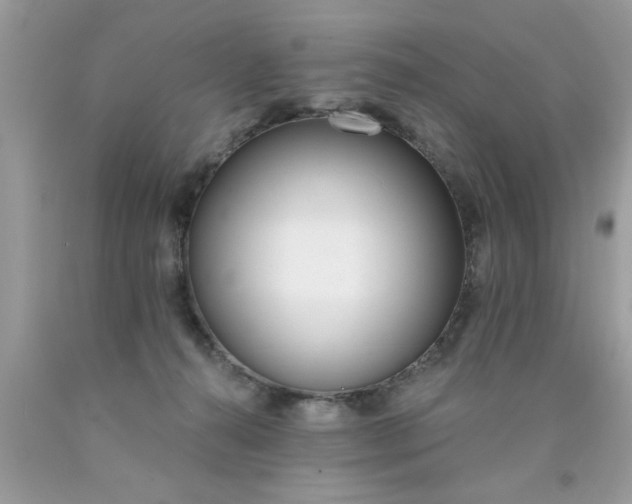 X0000090500272200707280007