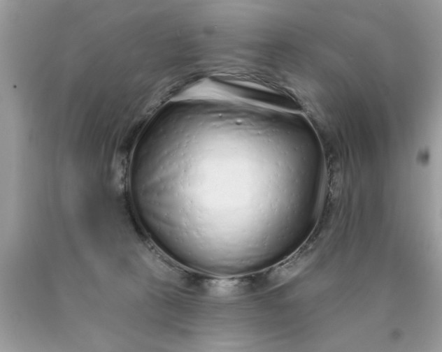 X0000090500273200707280007