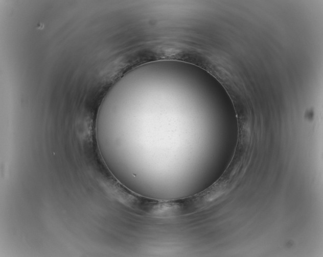 X0000090500274200707280007