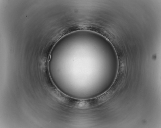 X0000090500275200707280007