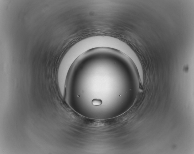 X0000090500276200707280007