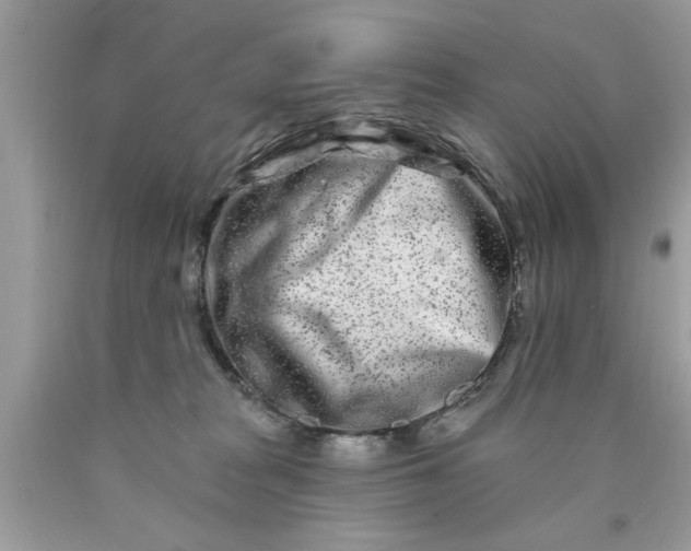 X0000090500277200707280007