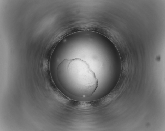 X0000090500278200707280007