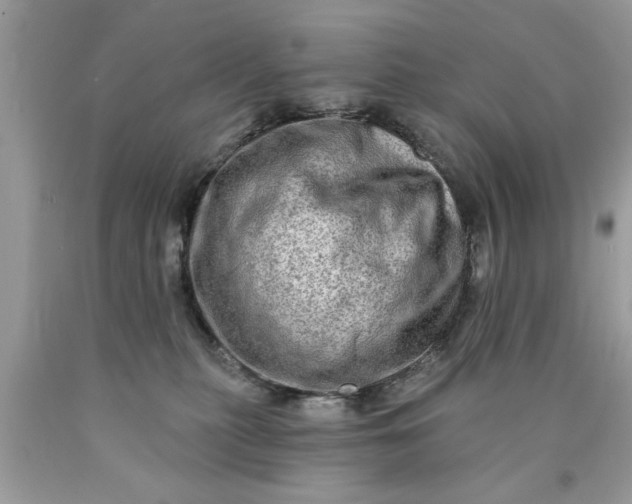 X0000090500279200707280007