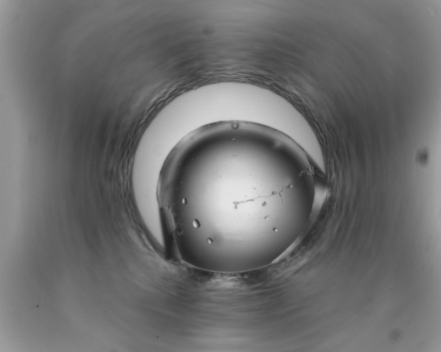 X0000090500280200707280007