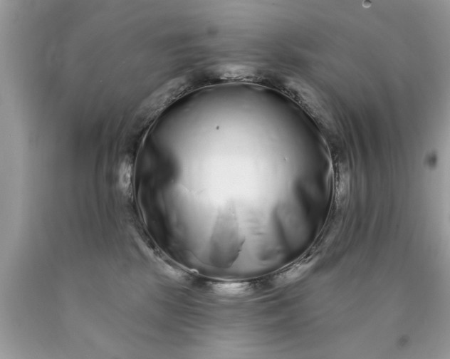 X0000090500281200707280007