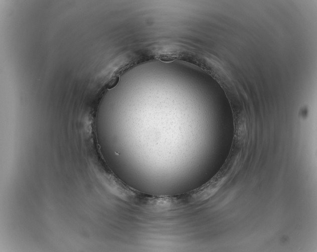 X0000090500282200707280007