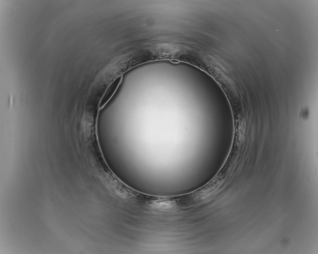 X0000090500283200707280007