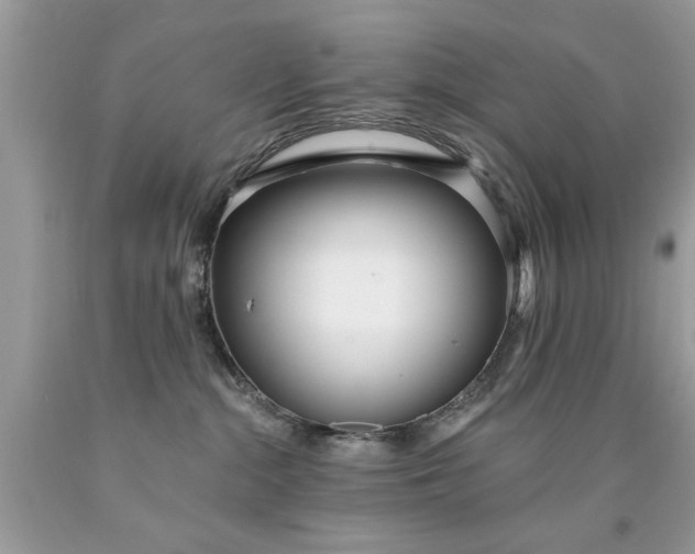 X0000090500284200707280007