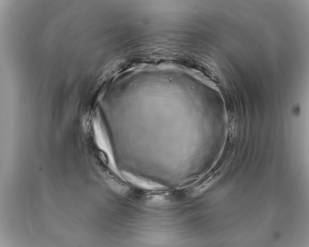 X0000090500285200707280007