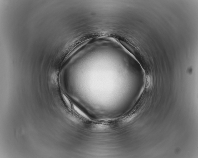 X0000090500286200707280007