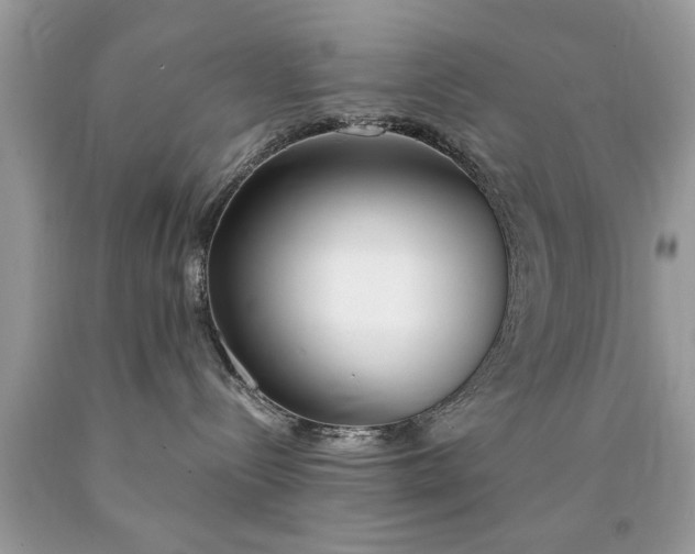 X0000090500288200707280007