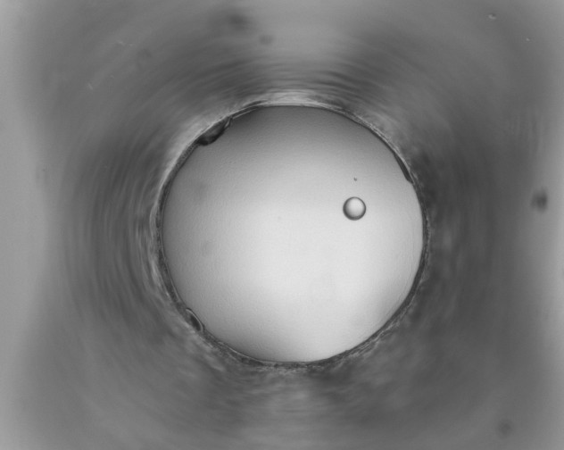 X0000090500289200707280007