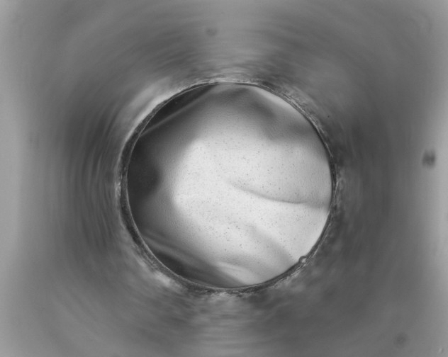 X0000090500290200707280007