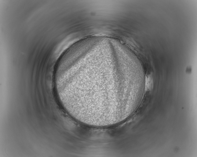 X0000090500291200707280007