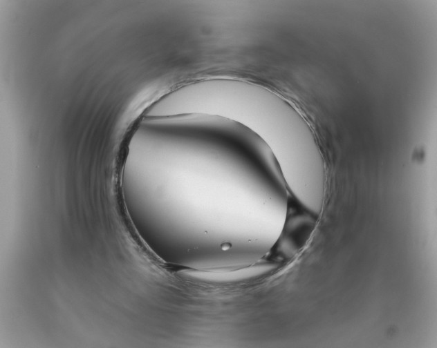 X0000090500293200707280007