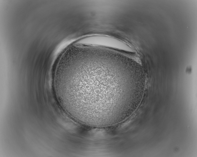 X0000090500294200707280007