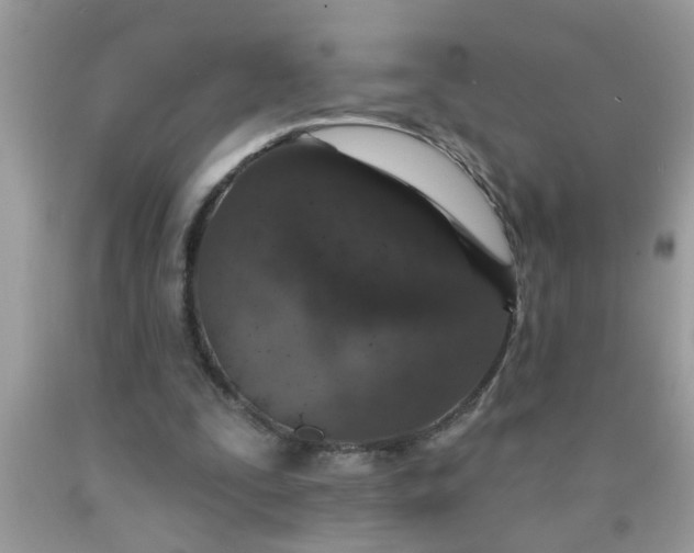 X0000090500295200707280007