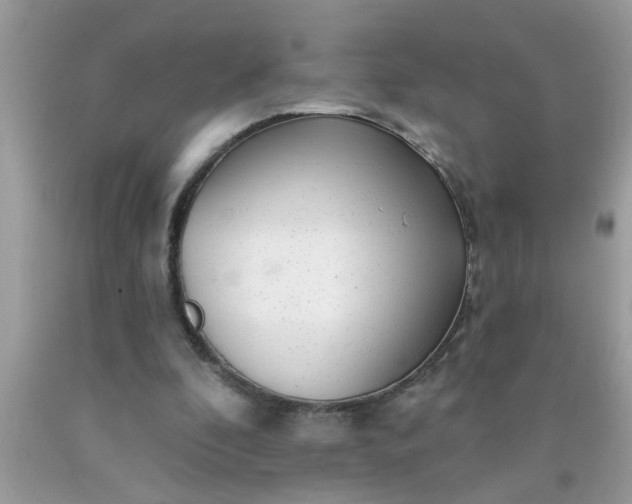 X0000090500296200707280007