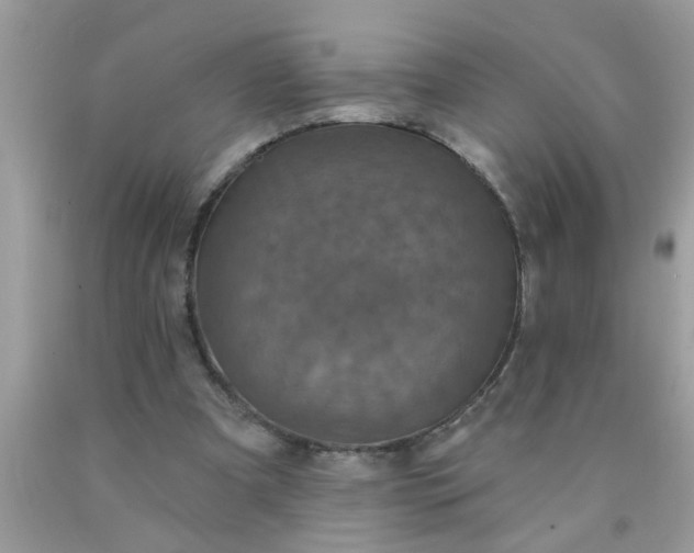 X0000090500297200707280007