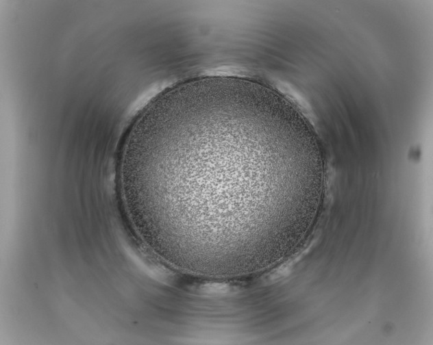 X0000090500298200707280007