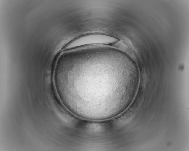 X0000090500299200707280007