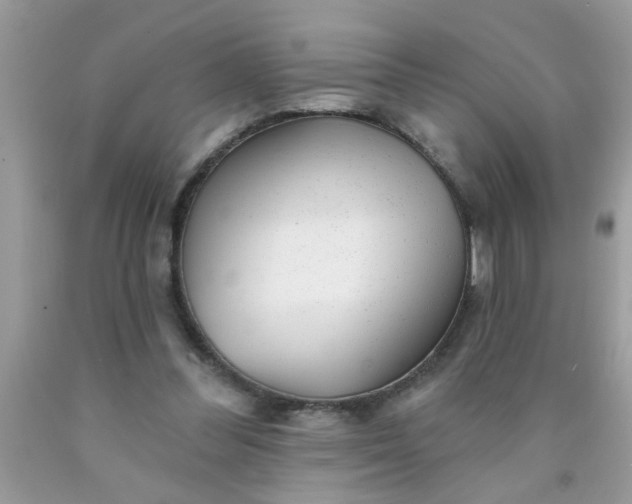 X0000090500300200707280007