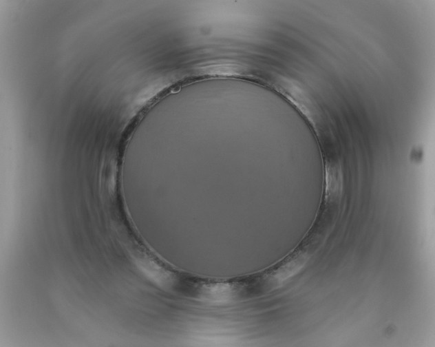 X0000090500301200707280007