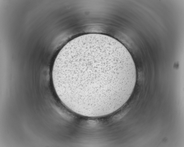 X0000090500302200707280007