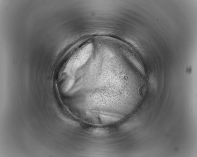 X0000090500303200707280007