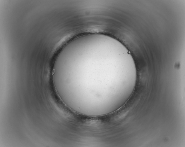 X0000090500304200707280007