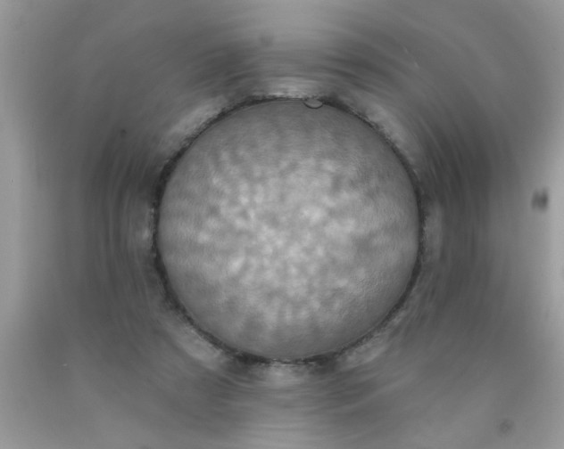 X0000090500305200707280007