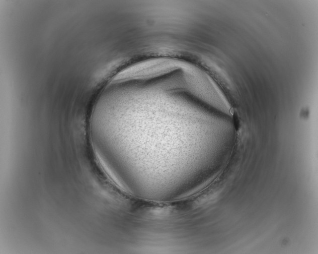 X0000090500306200707280007