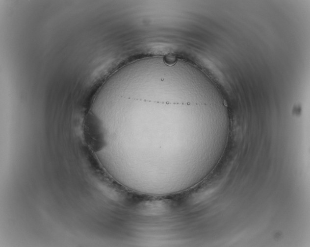 X0000090500307200707280007