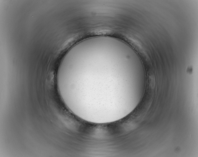 X0000090500308200707280007