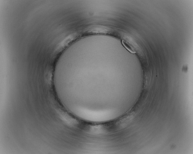 X0000090500309200707280007