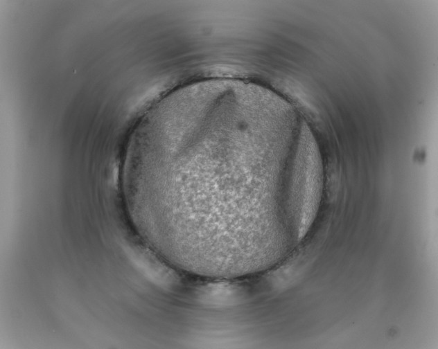 X0000090500310200707280007