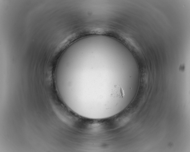 X0000090500312200707280007