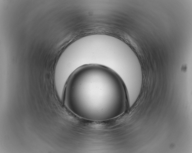 X0000090500313200707280007