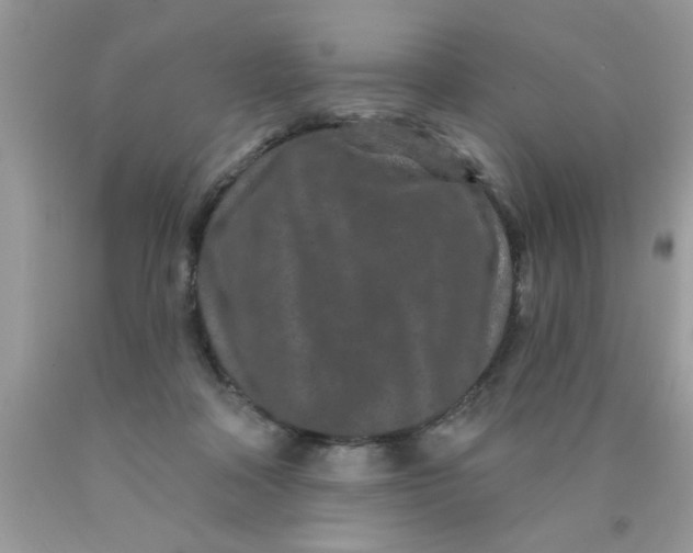 X0000090500314200707280007