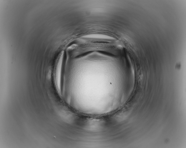 X0000090500315200707280007