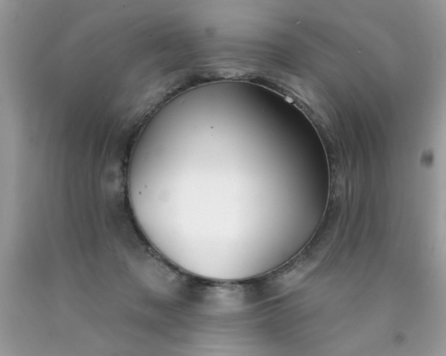 X0000090500317200707280007