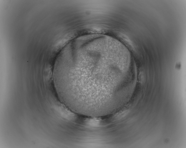 X0000090500318200707280007