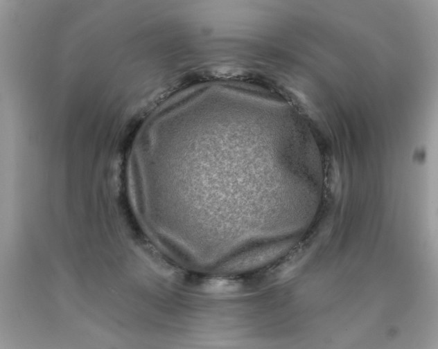 X0000090500319200707280007