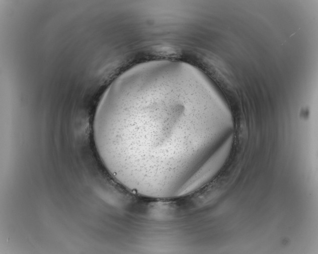 X0000090500320200707280007