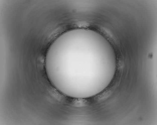 X0000090500321200707280006