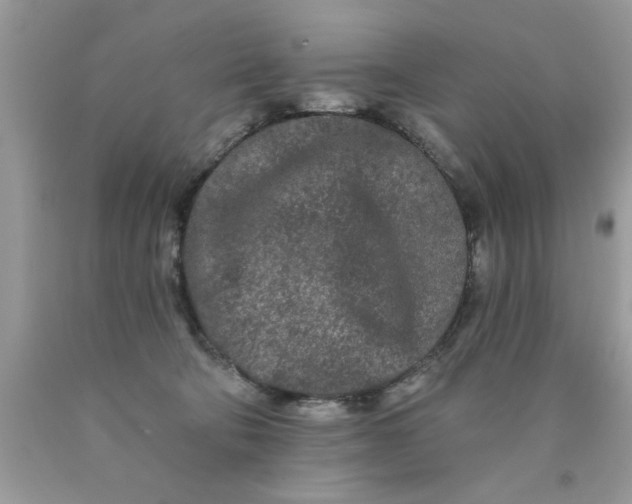 X0000090500322200707280006