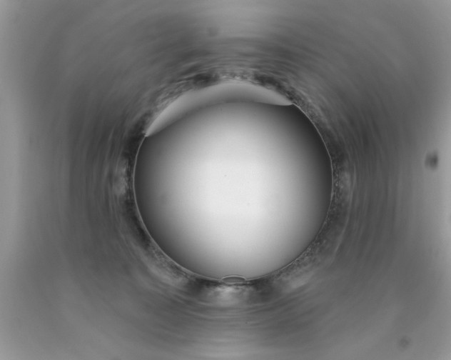 X0000090500323200707280006