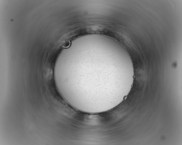 X0000090500324200707280006